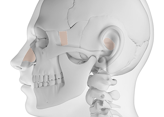 Contracted Nose Reconstruction 