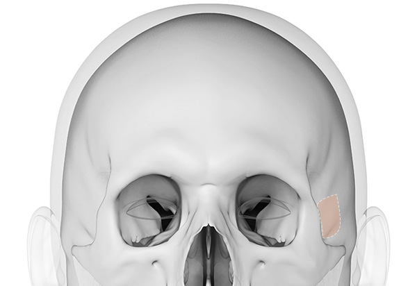 Autologous Tissue Rhinoplasty