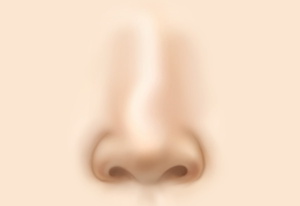 Type-Specific Rhinoplasty